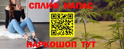 индика Апшеронск