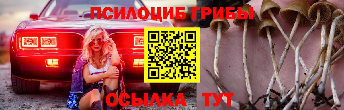 Псилоцибиновые грибы мицелий  Галлюциногенные грибы GOLDEN TEACHER  магазин    Великие Луки  Вход с VPN 